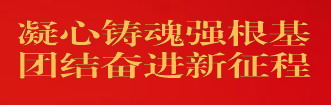 “凝心鑄魂強根基、團結奮進新征程”主題教育